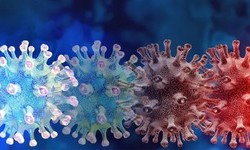 CORONAVIRUS perde 90% da Capacidade de Infectar após 20 Minutos no Ar
