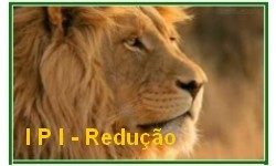 IPI - Governo reduz IPI de produtos fabricados no Brasil