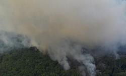 AMAZÔNIA - Brigadistas do IBAMA combatem Incêndios no Pará