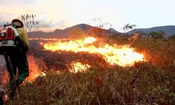 CHAPADA DOS VEADEIROS - Incndio queima 10 mil hectares do Parque